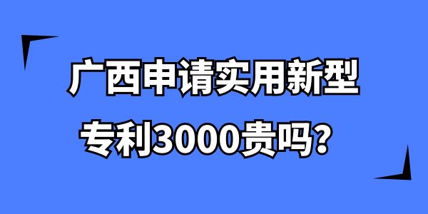 申請(qǐng)實(shí)用新型專利3000貴嗎,