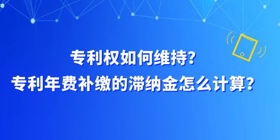 專利權(quán)如何維持？專利年費(fèi)補(bǔ)繳的滯納金怎么計(jì)算？