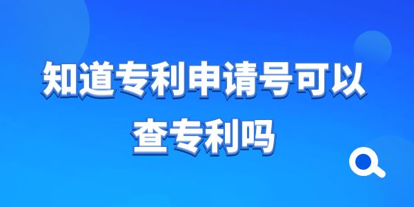 知道專利申請?zhí)柨梢圆閷＠麊?